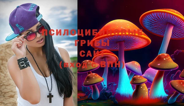 крисы Армянск