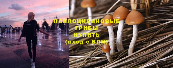 соль ск Аркадак