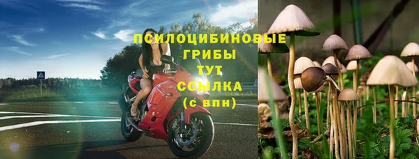 крисы Армянск